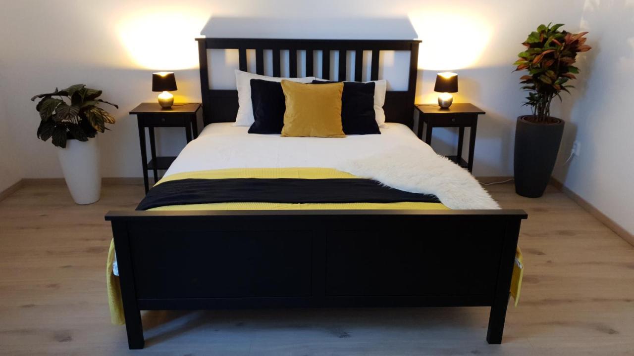 Le Monde Apartment Bratislava - Amazing 5Bdr In Downtown Extérieur photo